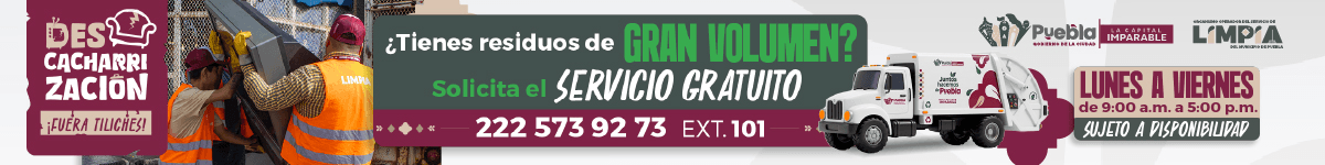 Descacharrizacion