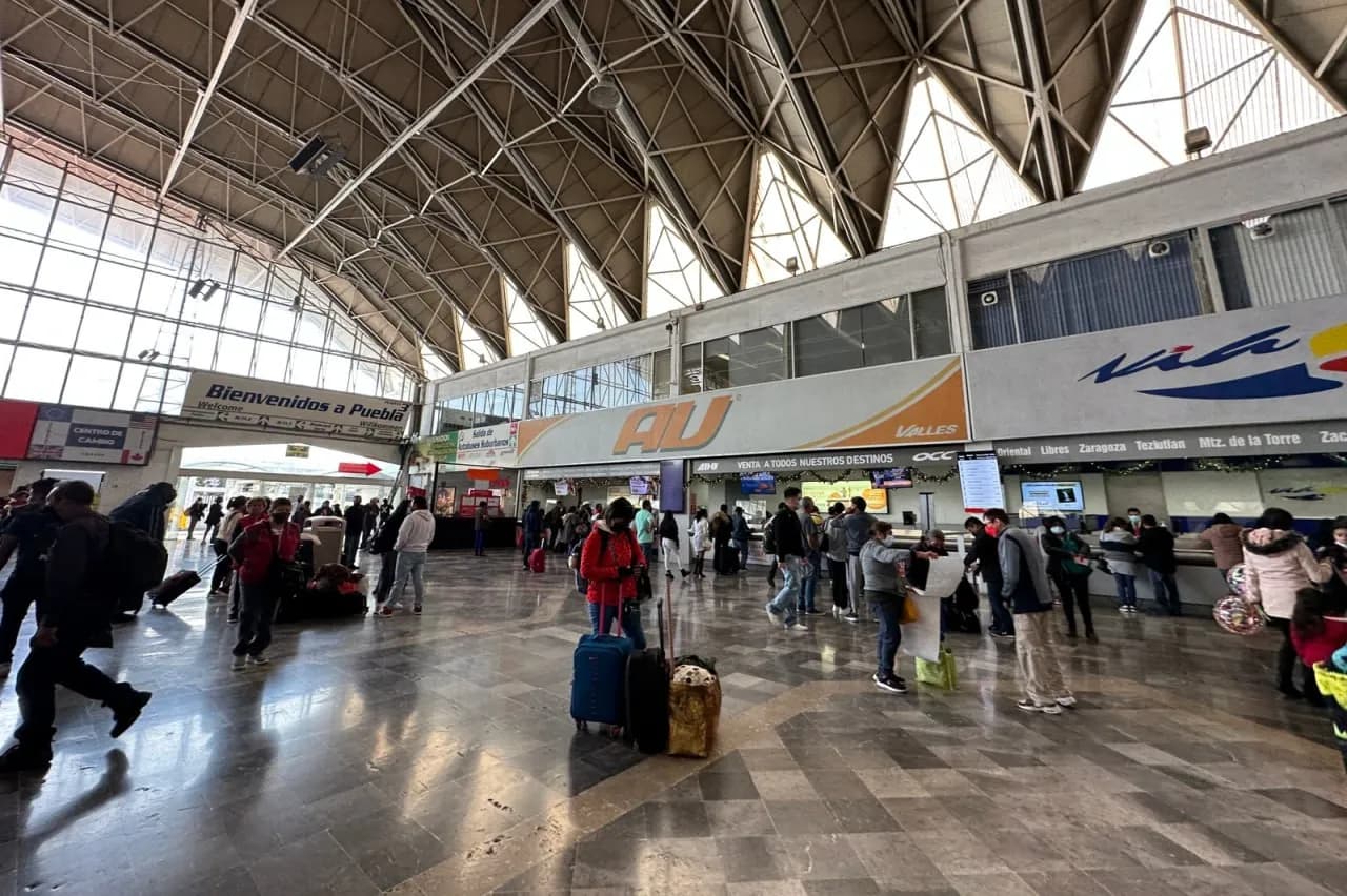 Viaja seguro en Semana Santa: conoce tus derechos y evita abusos en autobuses