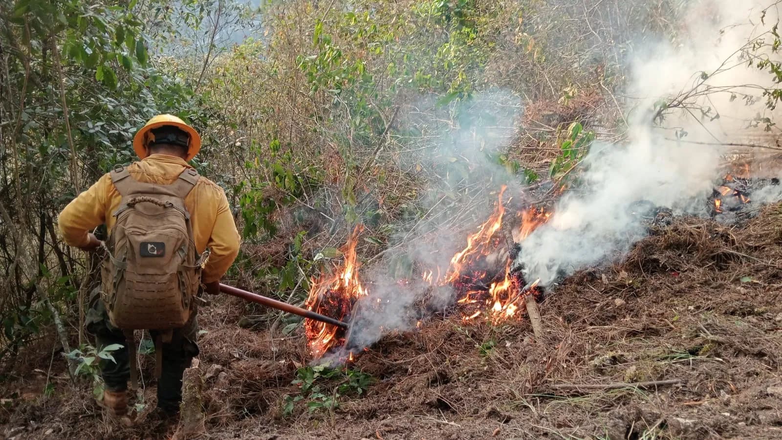 Puebla ya registró 136 incendios forestales en 2026; es cuarto lugar nacional