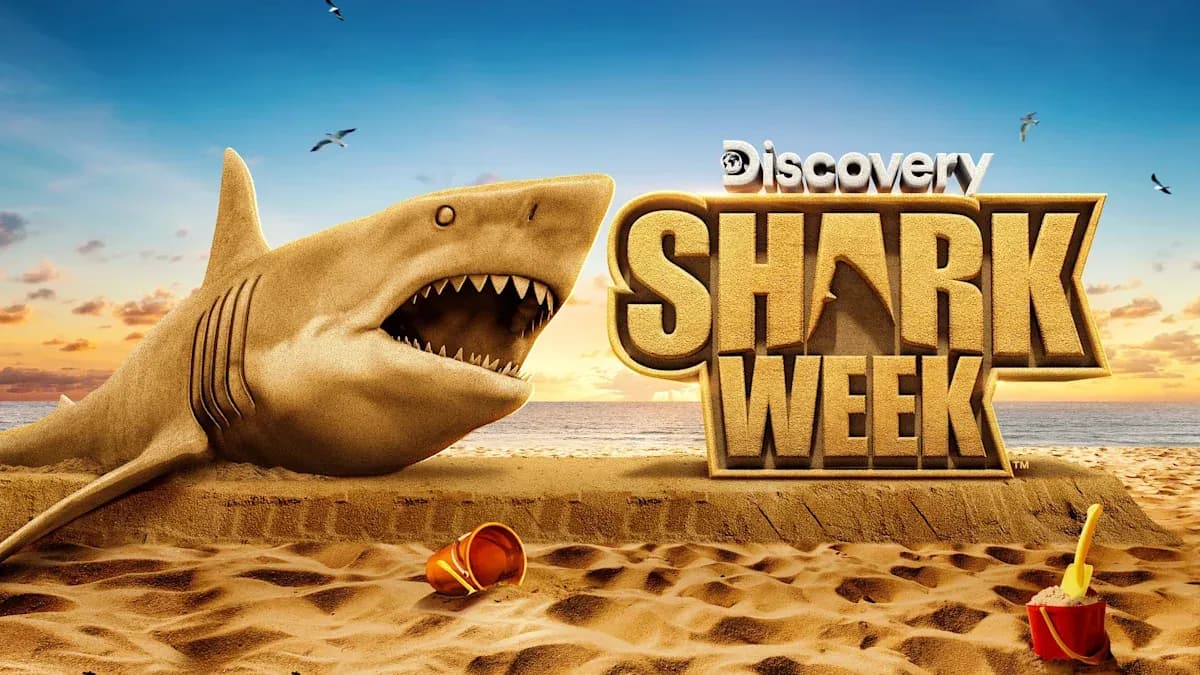Shark Week regresa con siete noches de documentales sobre tiburones
