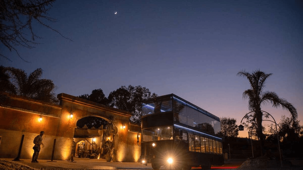 Precios y fechas del Moon Safari, el recorrido nocturno en Africam Safari